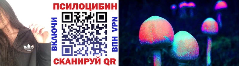 Галлюциногенные грибы мухоморы  Рославль 
